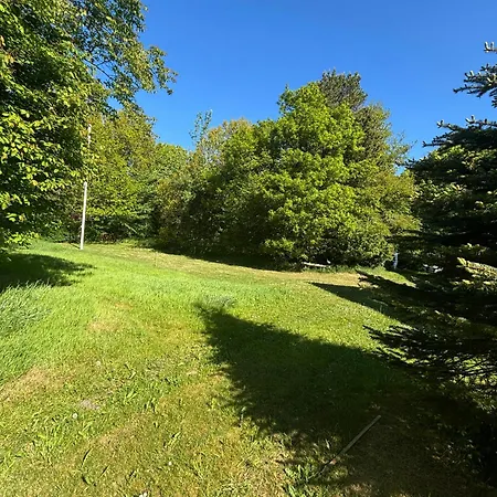 Hidden Gem By Thy National Park Ferienhaus Bedsted Thy
