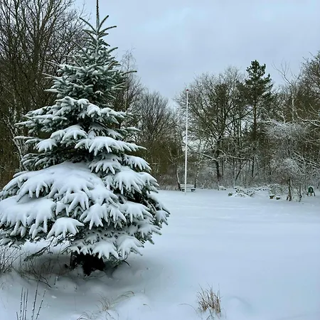 Hidden Gem By Thy National Park Bedsted Thy